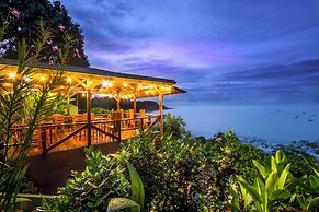 Cotingas Ocean View