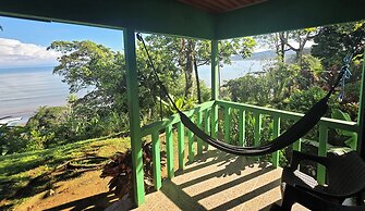 Cotingas Ocean View
