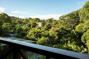 Cotingas Ocean View