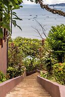 Cotingas Ocean View