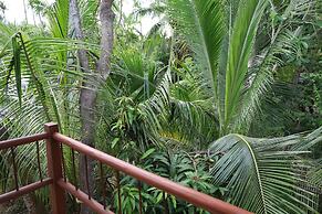 Solez Zihuatanejo
