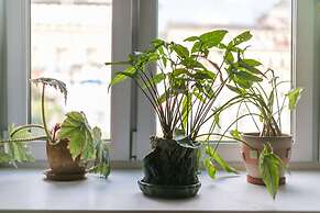 Apartment on 2ya Brestskaya 43