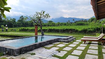 Umma Bali Menjangan