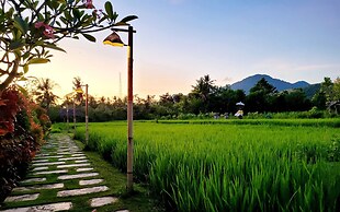 Umma Bali Menjangan