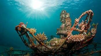 Umma Bali Menjangan