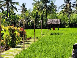 Umma Bali Menjangan