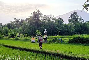 Umma Bali Menjangan