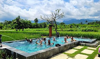 Umma Bali Menjangan