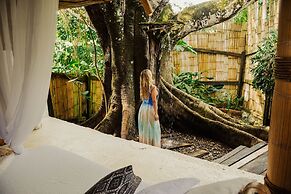 Amaranthus  Hotel