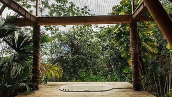 Amaranthus  Hotel