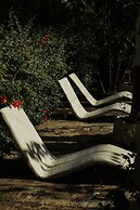 Amaranthus  Hotel