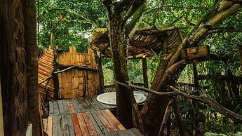 Amaranthus  Hotel