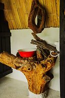 Amaranthus  Hotel