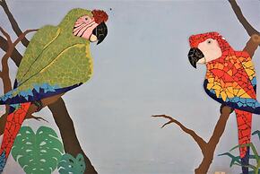 Hostal Macaw