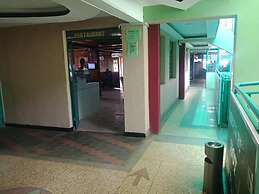 Green Ficus Place
