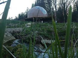 Foxy Camp Insolite