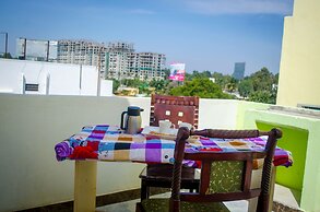 Sports Icon Suites
