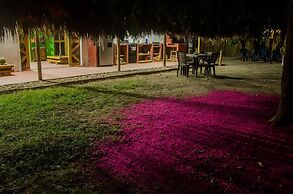 Corazón de Tagua