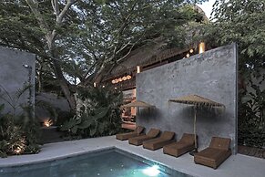 Casa Hormiga