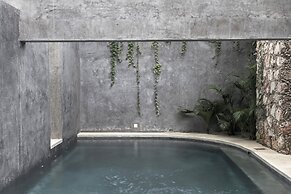 Casa Hormiga