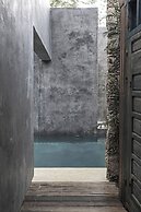 Casa Hormiga