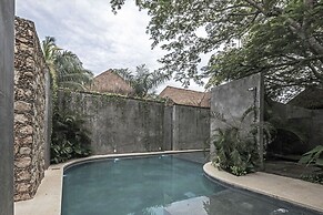 Casa Hormiga