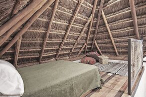 Casa Hormiga