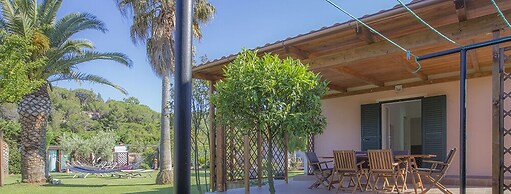 Albero Del Pepe 2