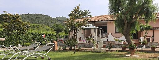 Albero Del Pepe 2