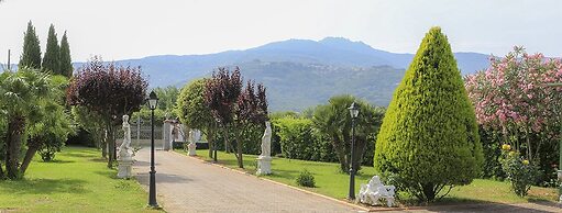 Albero Del Pepe 2