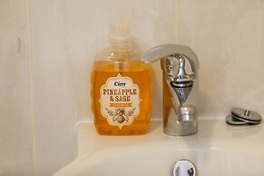 Dublin Vacation Rentals