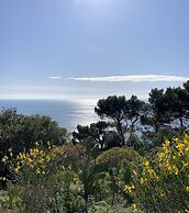 Il Carrubo Capri