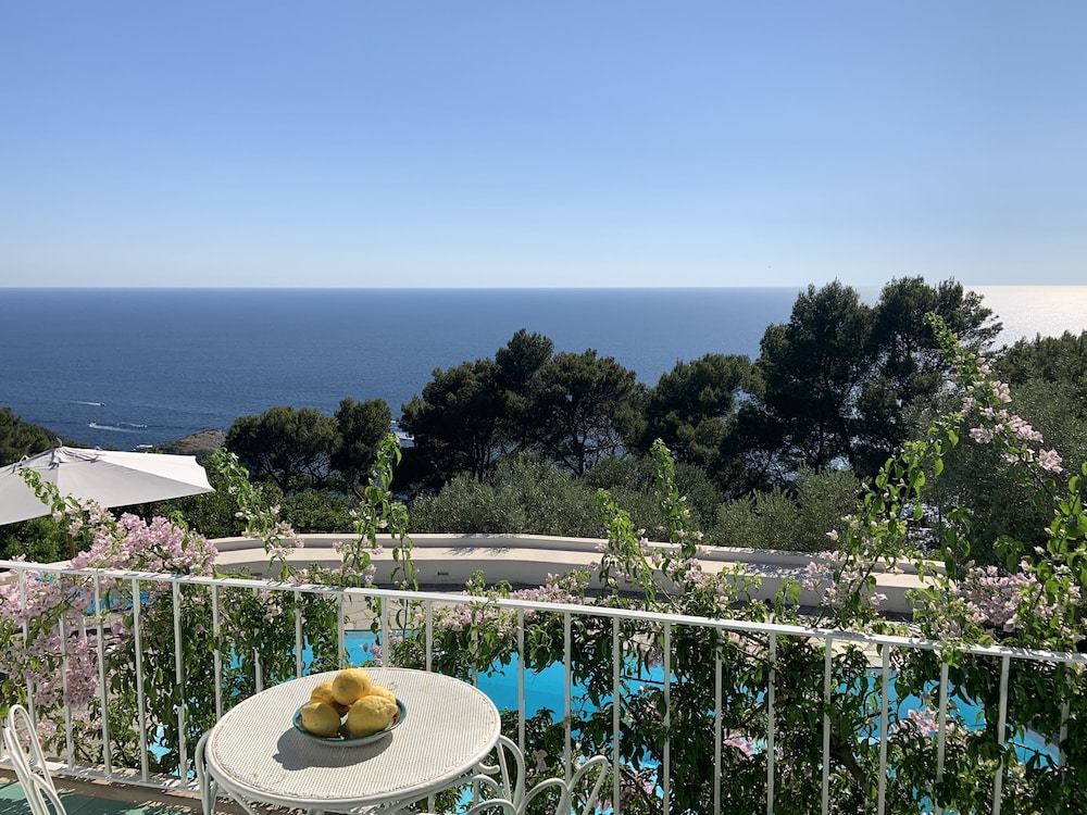 Il Carrubo Capri