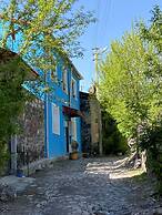 Mavi Ladin Konukevi