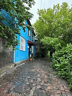 Mavi Ladin Konukevi
