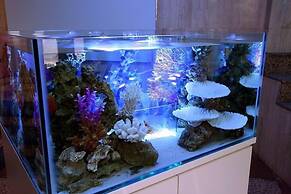 Hotel AQUA Blue Yokosuka - Adults Only