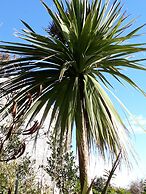 Garragh Mhor B&B