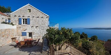 Old Tree Villa