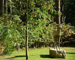 Hollicarrs - Honeycomb Lodge