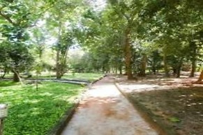 Nature Breeze Resort