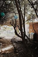El Arbol Eco-Lodge - Hostel