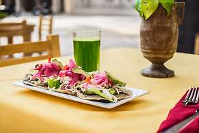 Waye Valladolid Centro – Sustainable, Authentic Experiences & Pet Frie