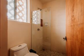 Waye Valladolid Centro – Sustainable, Authentic Experiences & Pet Frie