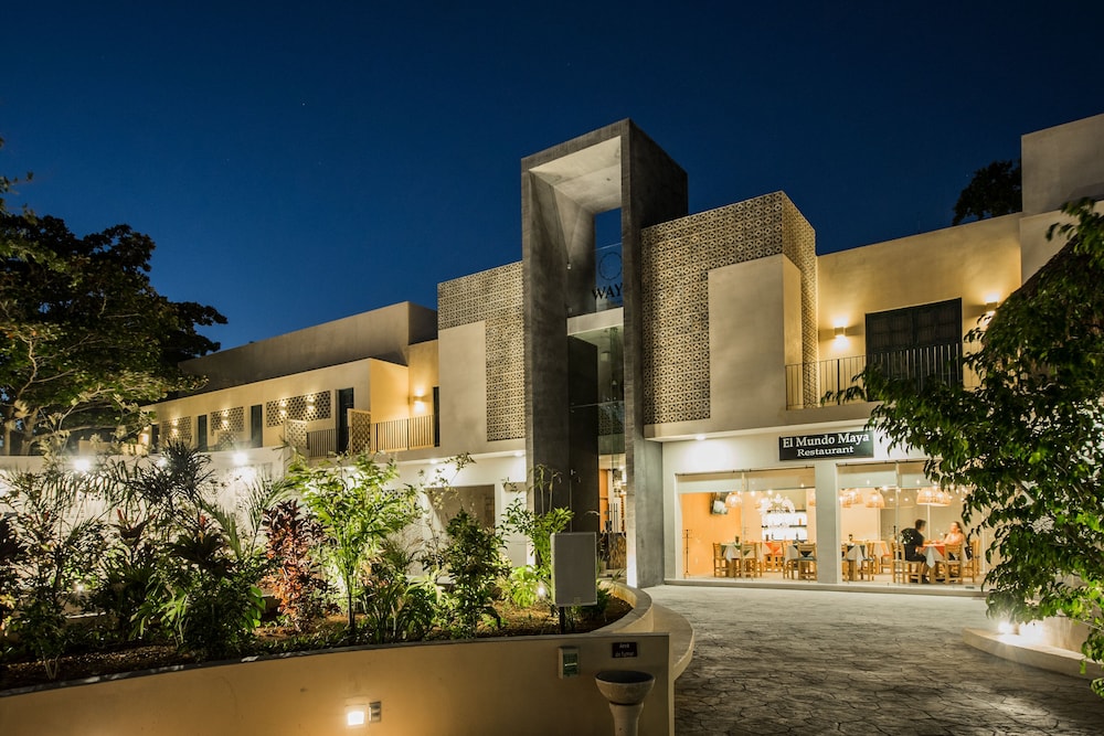Waye Valladolid Centro – Sustainable, Authentic Experiences & Pet Frie
