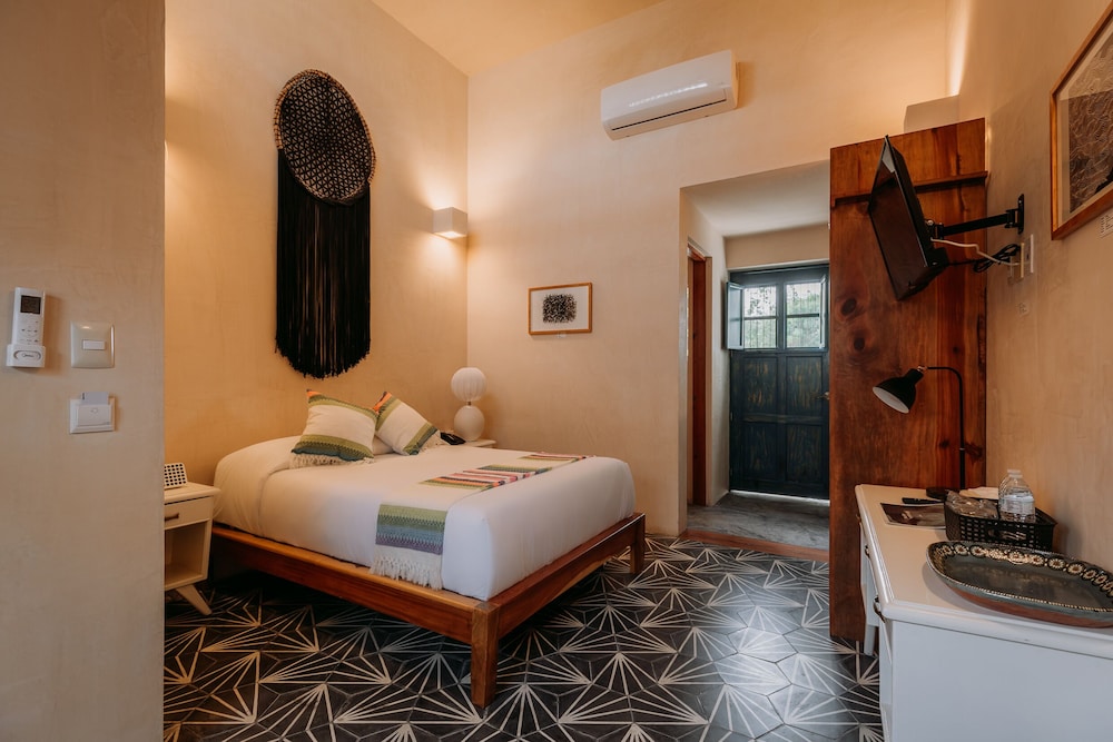 Waye Valladolid Centro – Sustainable, Authentic Experiences & Pet Frie