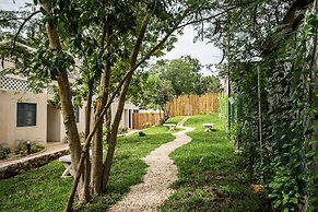 Waye Valladolid Centro – Sustainable, Authentic Experiences & Pet Frie