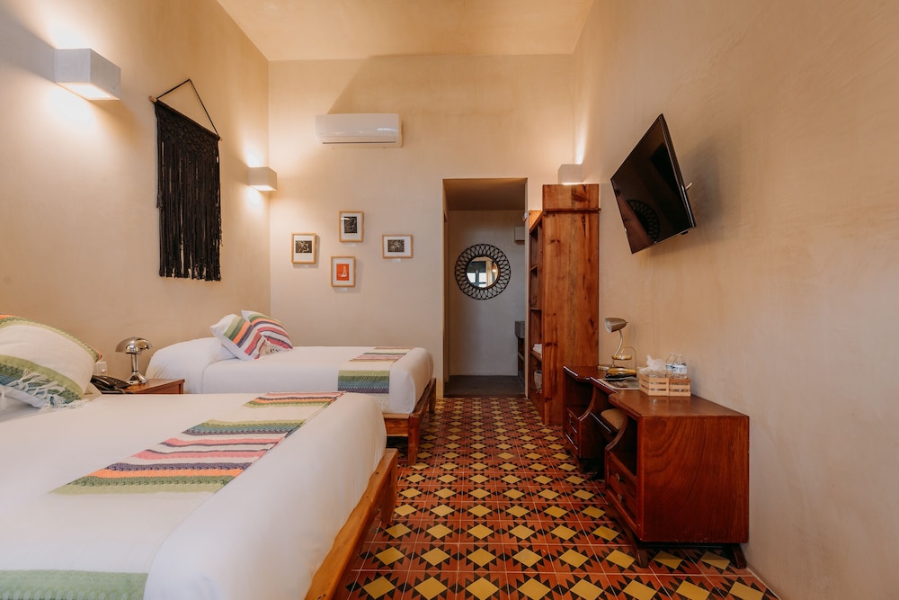 Waye Valladolid Centro – Sustainable, Authentic Experiences & Pet Frie