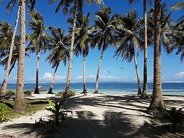 Mango Tree Siargao