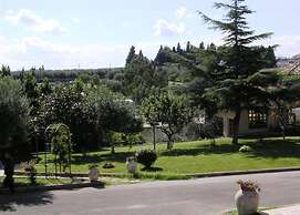 Valle degli Ulivi
