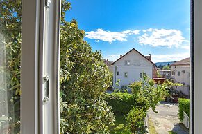 Apartments Branka